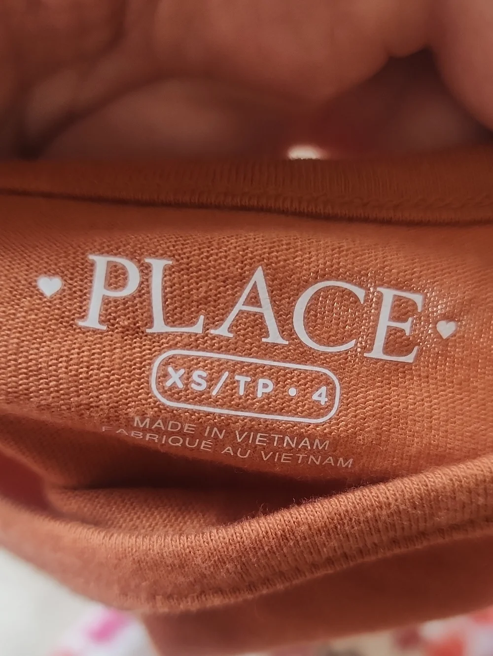 Sz XS/4 TCP Orange Solid & Pumpkin Print Long Sleeve Tee Set